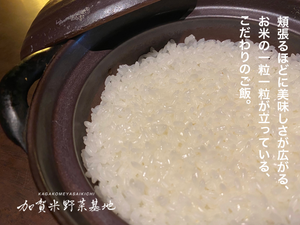 【令和6年産】☆お米番付優秀賞受賞農家☆「農薬・化学肥料不使用」＜有機JAS認証＞にこまる