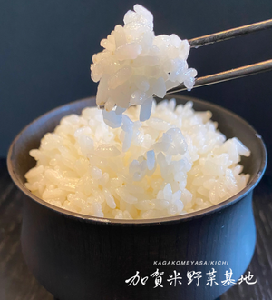 【令和6年産】☆お米番付優秀賞受賞農家☆「農薬・化学肥料不使用」＜有機JAS認証＞にこまる