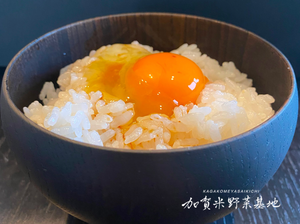 【令和6年産】☆お米番付優秀賞受賞農家☆「農薬・化学肥料不使用」＜有機JAS認証＞にこまる