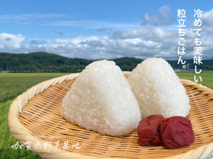 【令和6年産】☆お米番付優秀賞受賞農家☆「農薬・化学肥料不使用」＜有機JAS認証＞にこまる