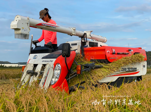 【令和6年産】☆お米番付優秀賞受賞農家☆「農薬・化学肥料不使用」＜有機JAS認証＞にこまる