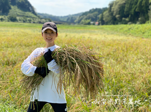 【令和6年産】☆お米番付優秀賞受賞農家☆「農薬・化学肥料不使用」＜有機JAS認証＞にこまる