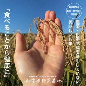【令和8年産新米予約｜限定特価】🏆お米グランプリ2025 3部門受賞！＜有機JAS認証取得＞「いのちの壱」｜農薬・化学肥料不使用