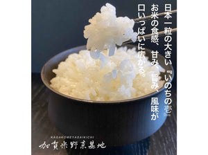 【新米】☆お米番付優秀賞受賞農家☆【農薬・化学肥料不使用】R7年産「いのちの壱」