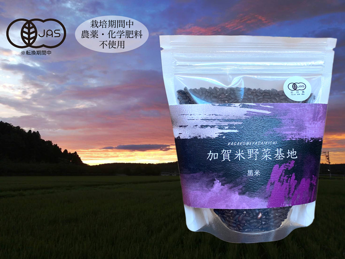 農薬・化学肥料不使用】R5年産「黒米」200g<有機JAS認証>