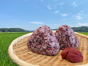 【農薬・化学肥料不使用】R6年産「黒米」200g<有機JAS認証>